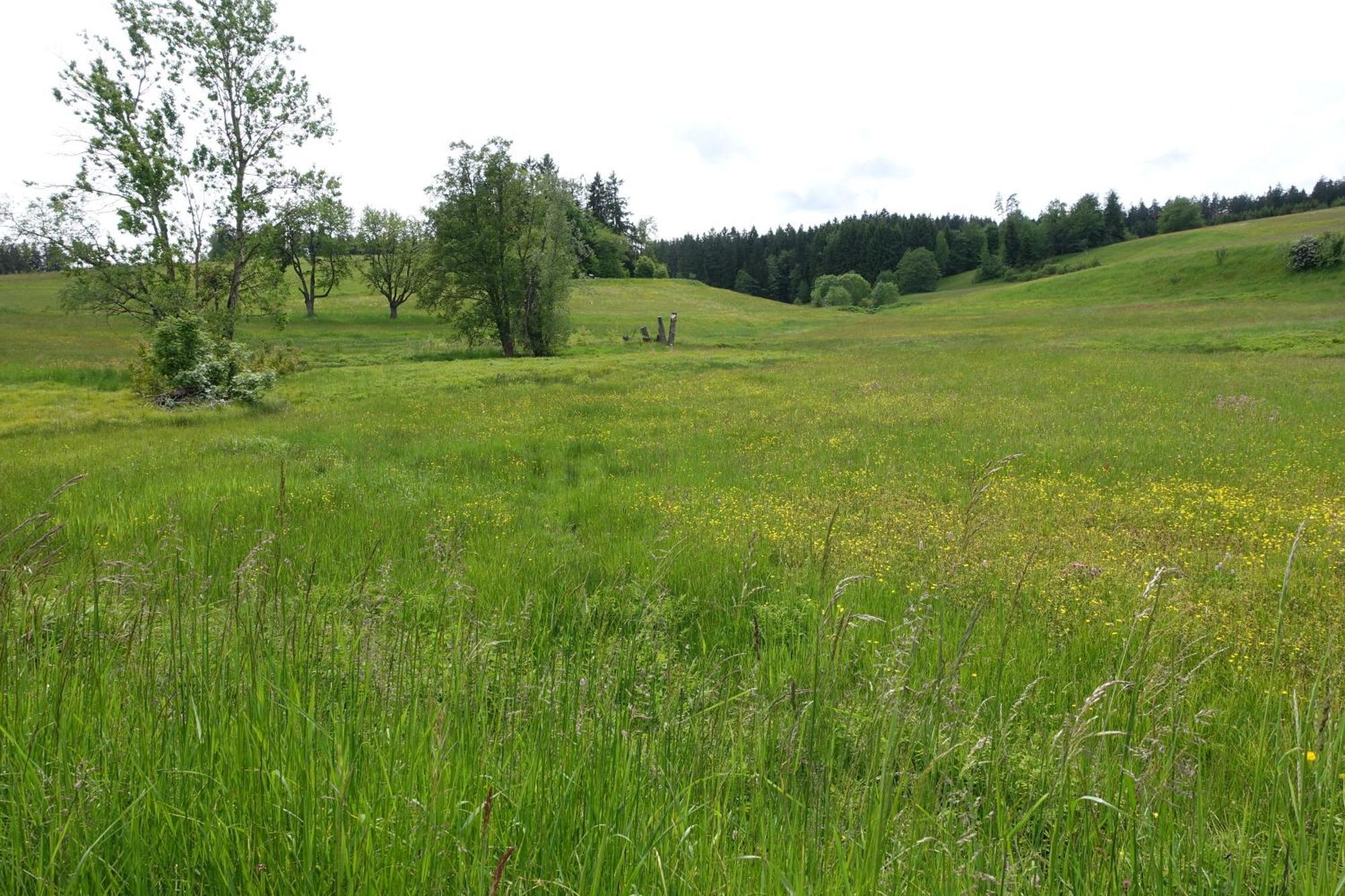 Blick In Den Garten Holzschlag Exterior foto